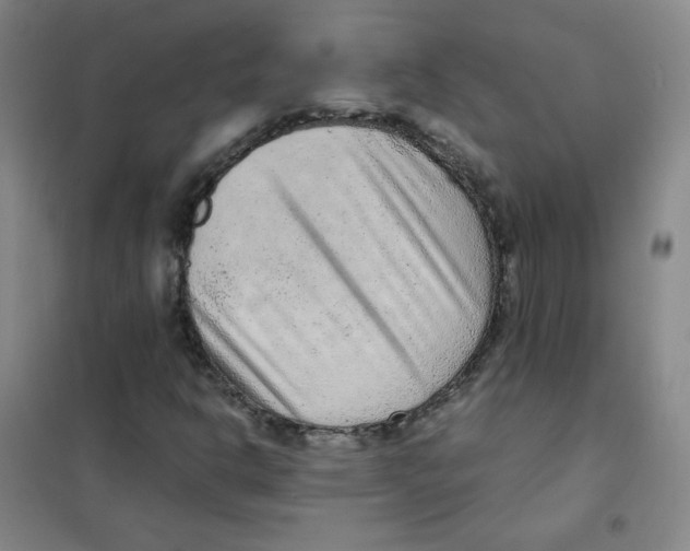 X0000101111302200807241126