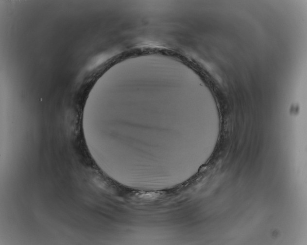 X0000101111303200807241126