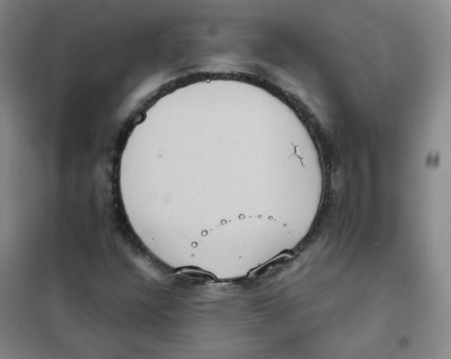 X0000101111304200807241126