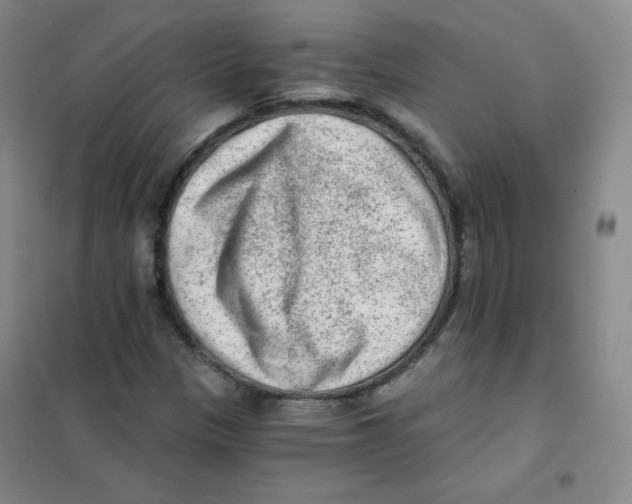 X0000101111305200807241126