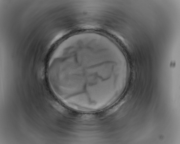 X0000101111306200807241126