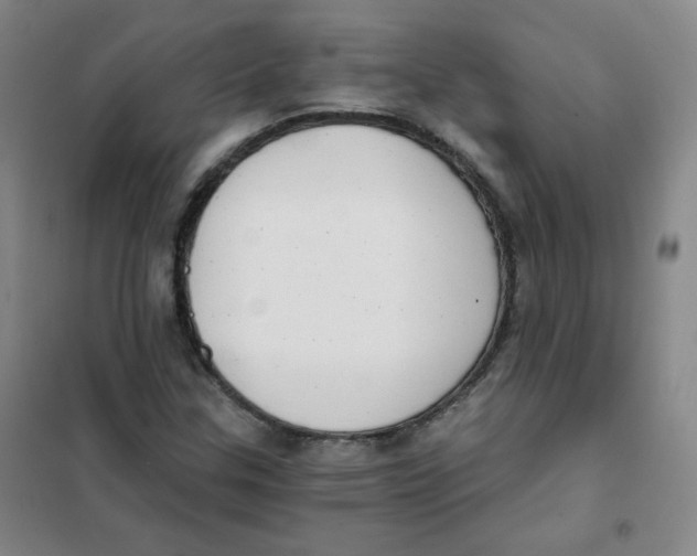 X0000101111307200807241126
