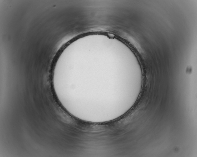 X0000101111308200807241126
