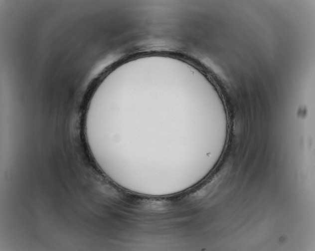 X0000101111309200807241126
