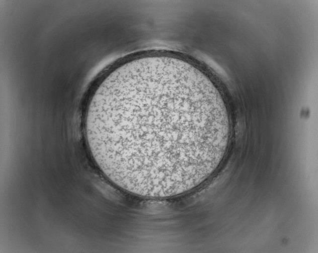 X0000101111310200807241126