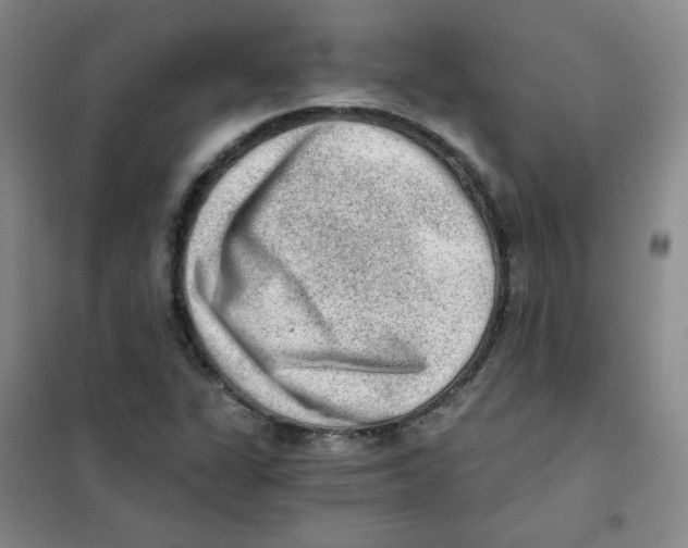 X0000101111311200807241126