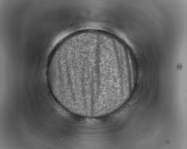 X0000101111312200807241126
