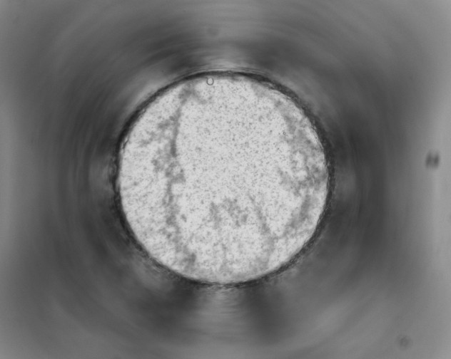 X0000101111314200807241126