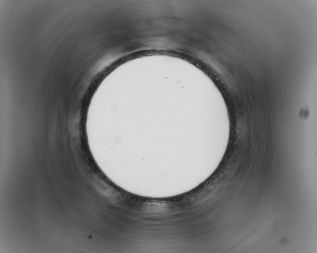 X0000101111315200807241126