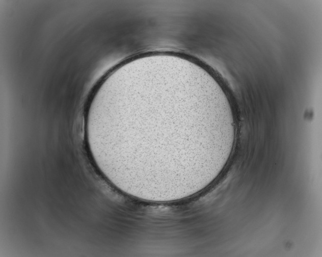 X0000101111317200807241126