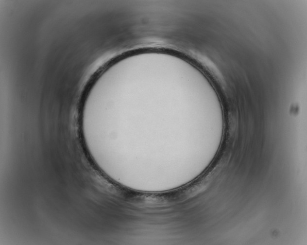 X0000101111318200807241126
