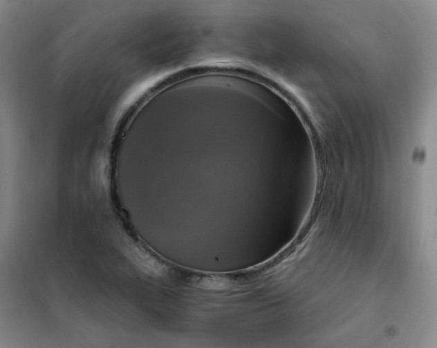 X0000101111319200807241126