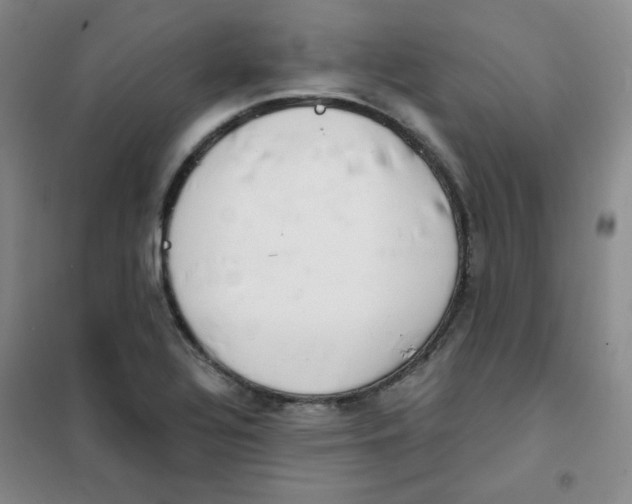 X0000101111320200807241126