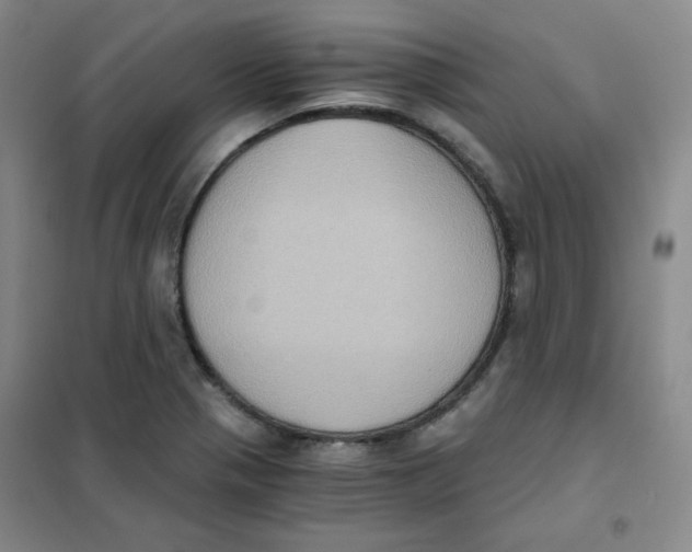 X0000101111321200807241126