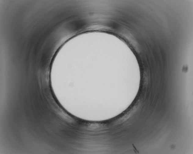 X0000101111322200807241126
