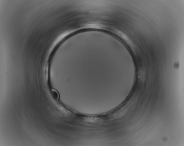 X0000101111323200807241126