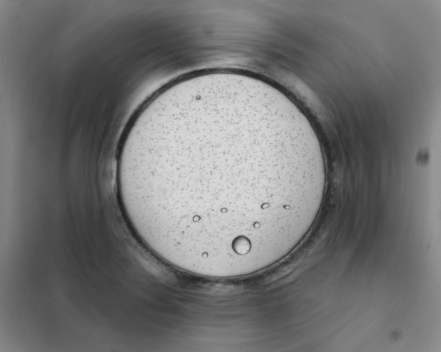 X0000101111324200807241126