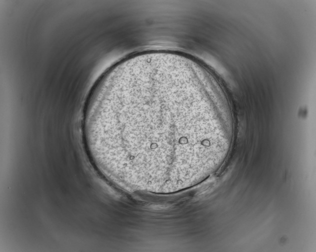 X0000101111325200807241126