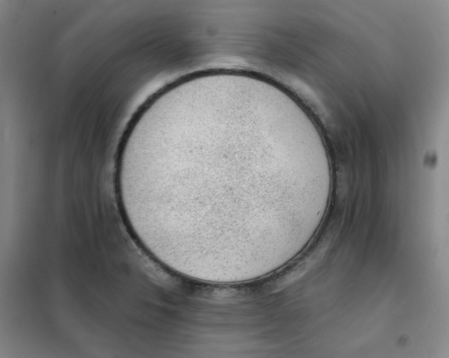 X0000101111326200807241126