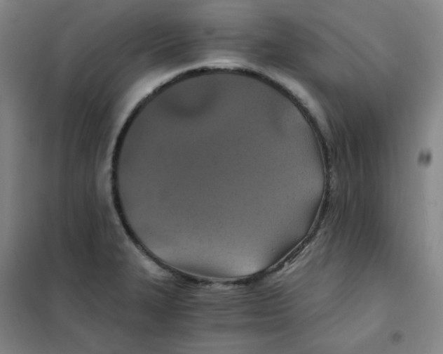 X0000101111327200807241126