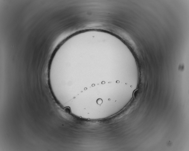X0000101111328200807241127