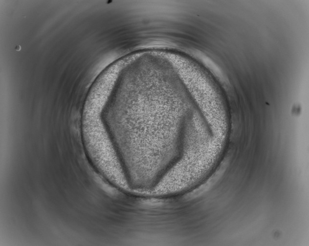 X0000101111329200807241127