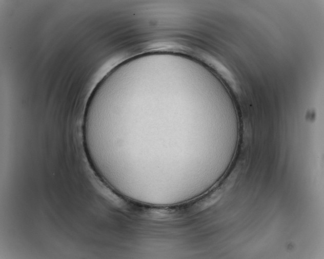 X0000101111330200807241127