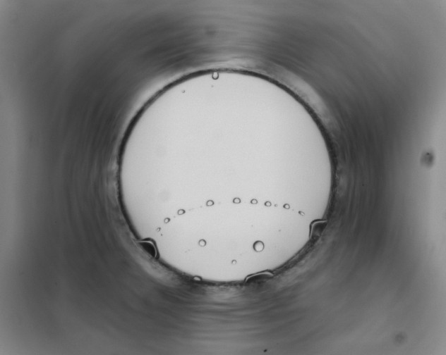 X0000101111332200807241127