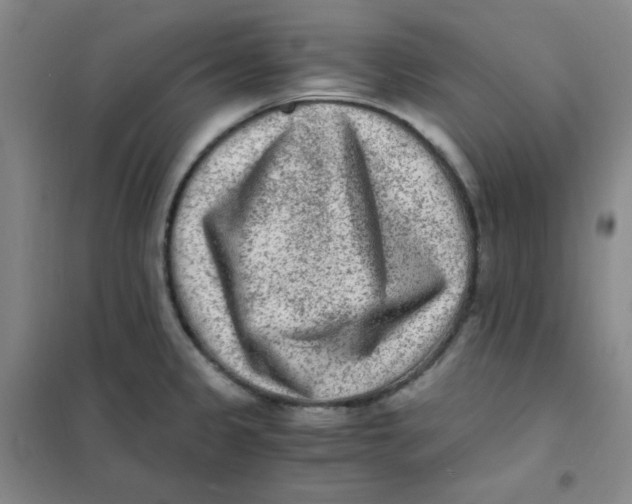 X0000101111333200807241127