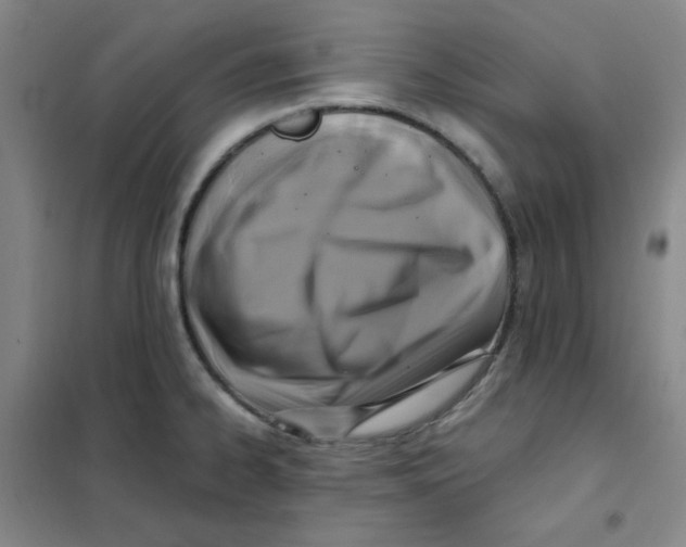X0000101111334200807241127