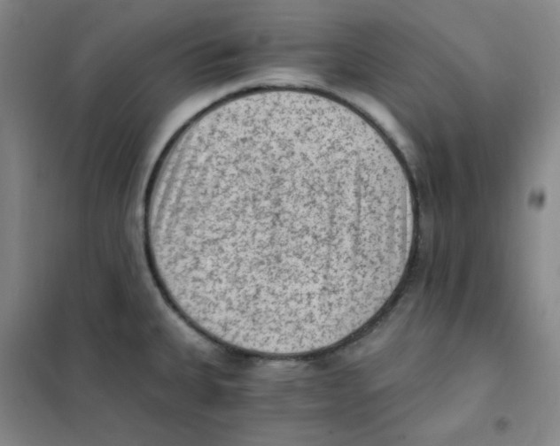 X0000101111335200807241127