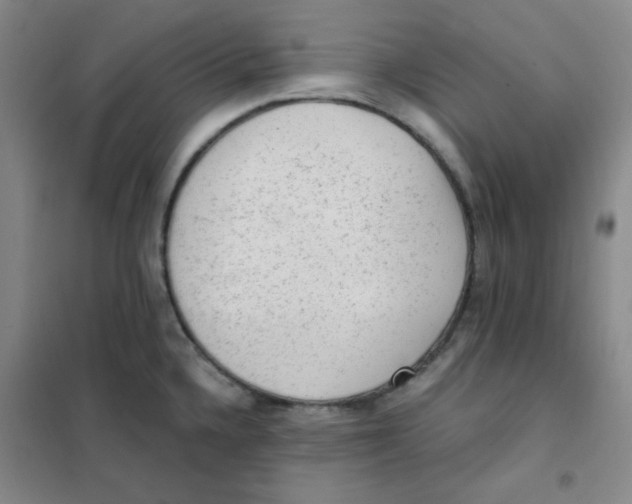 X0000101111336200807241127