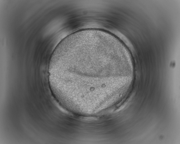 X0000101111337200807241127