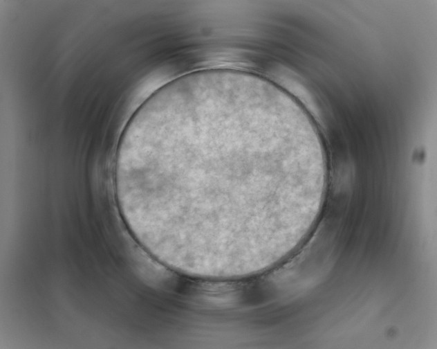 X0000101111338200807241127