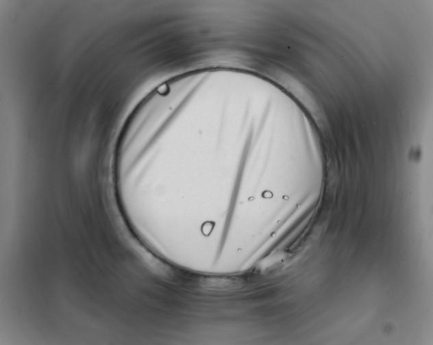 X0000101111339200807241127