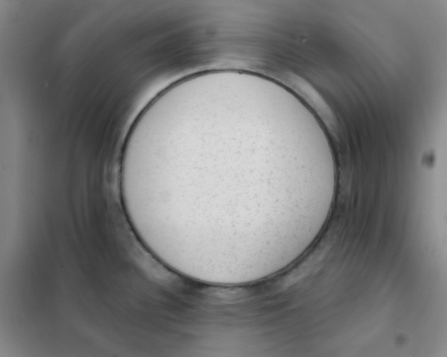 X0000101111340200807241127
