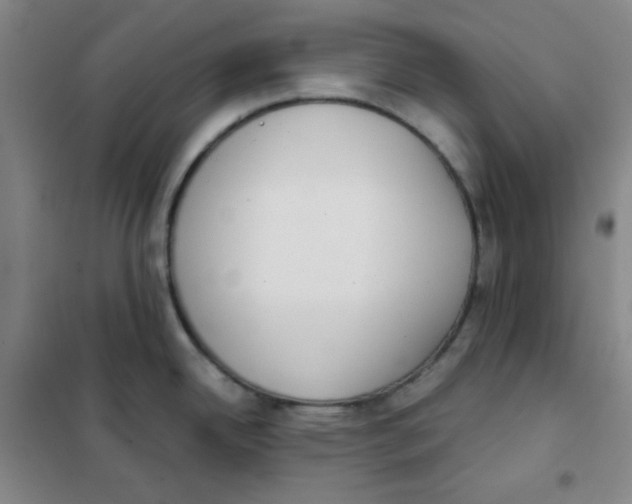 X0000101111342200807241127