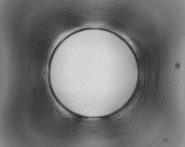 X0000101111343200807241127