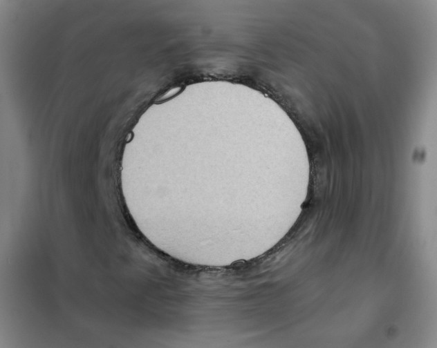 X0000101111345200807241126