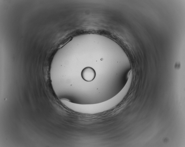 X0000101111348200807241126