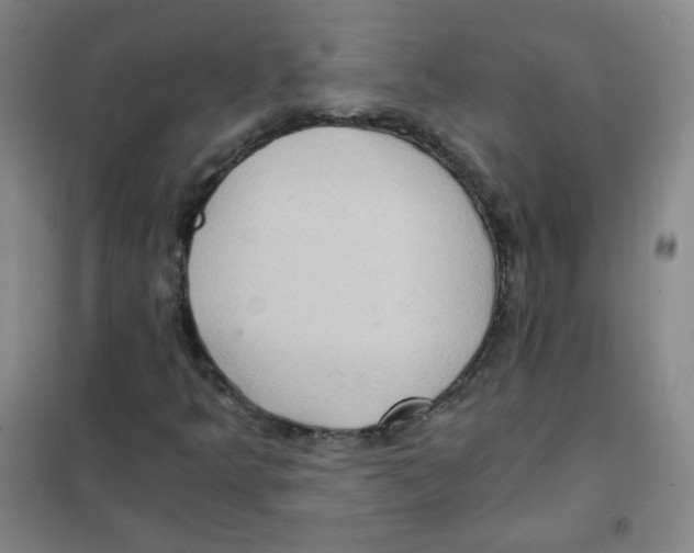 X0000101111349200807241126
