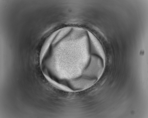 X0000101111350200807241126