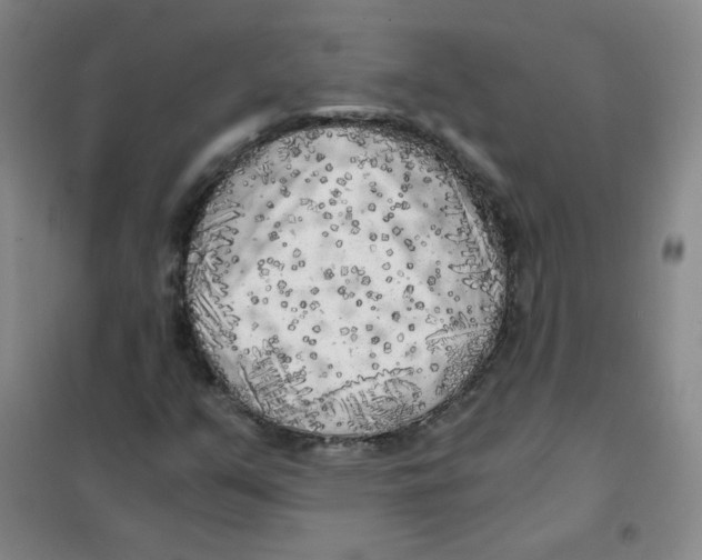 X0000101111351200807241126