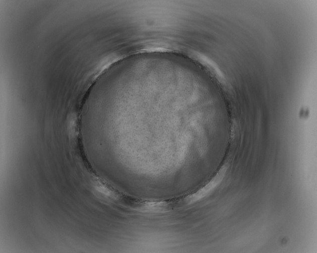 X0000101111353200807241126