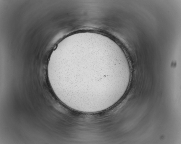 X0000101111355200807241126