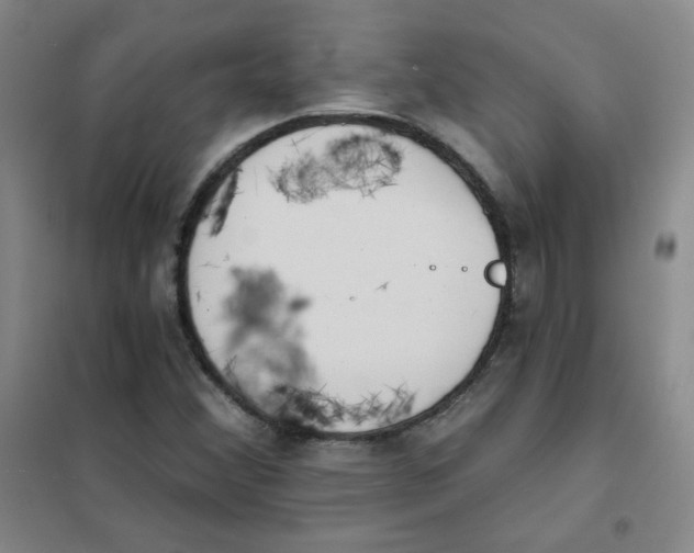 X0000101111356200807241126