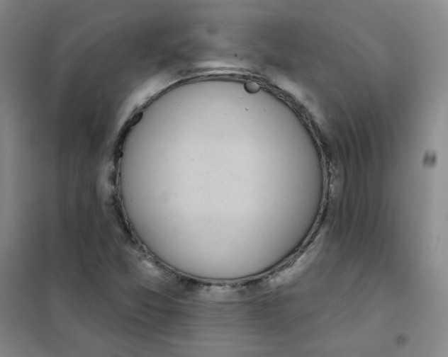 X0000101111357200807241126