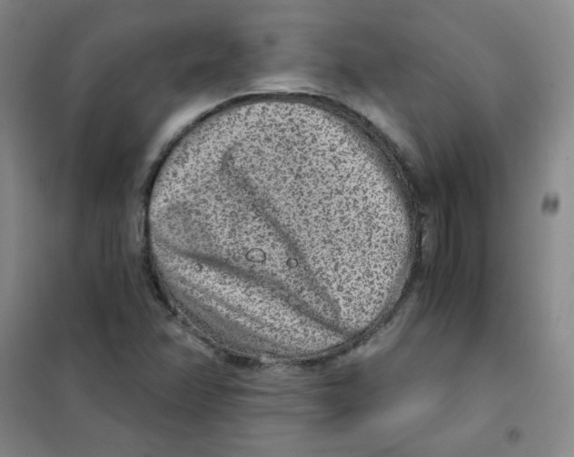 X0000101111358200807241126