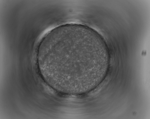 X0000101111359200807241126