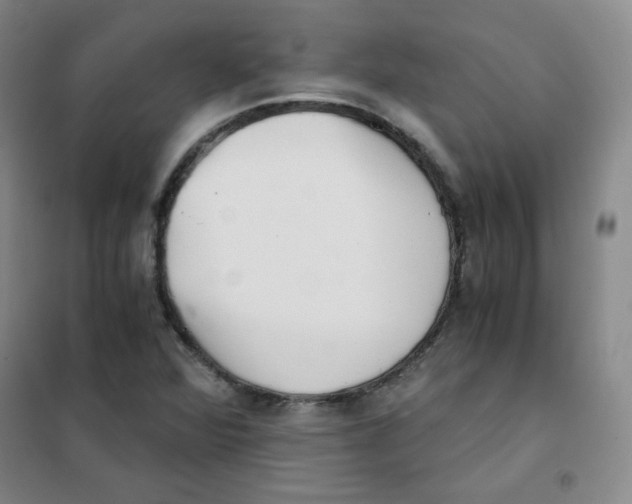 X0000101111360200807241126